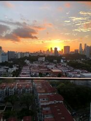 The Regency At Tiong Bahru (D3), Condominium #630457981